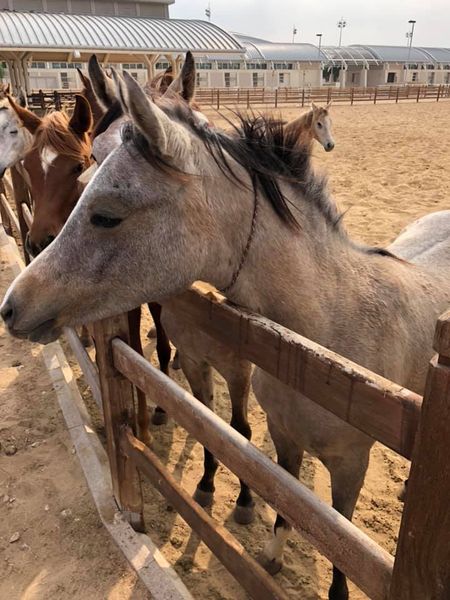 Tanári kirándulásCOM_JOOMGALLERY_UPLOAD_IMAGENAME_SEPARATOR20