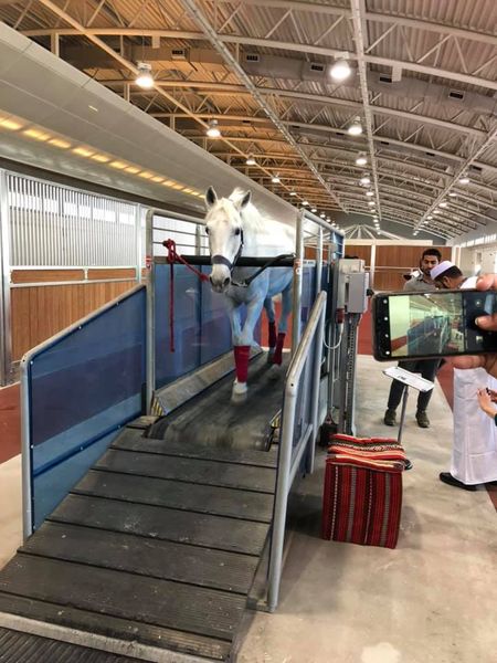 Tanári kirándulásCOM_JOOMGALLERY_UPLOAD_IMAGENAME_SEPARATOR22