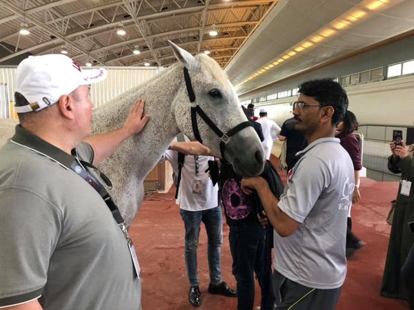 Tanári kirándulásCOM_JOOMGALLERY_UPLOAD_IMAGENAME_SEPARATOR25