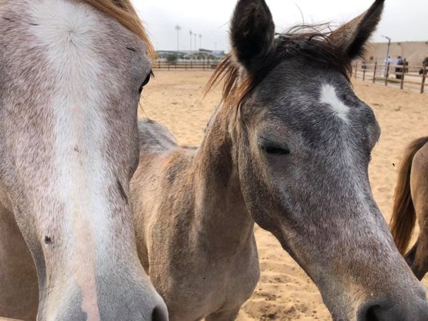 Tanári kirándulásCOM_JOOMGALLERY_UPLOAD_IMAGENAME_SEPARATOR29