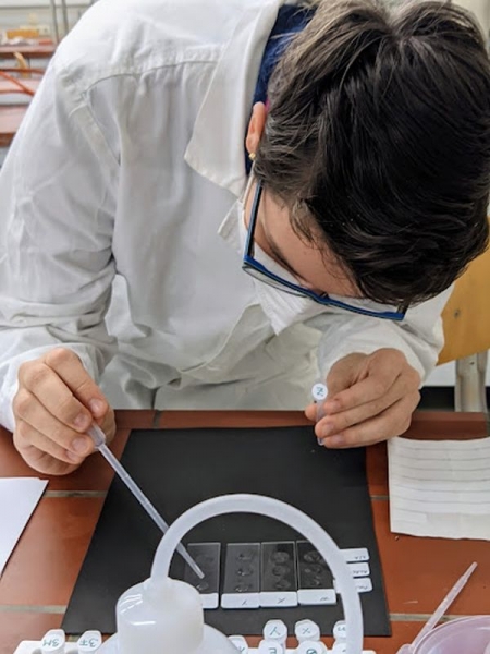 18. IJSO versenyCOM_JOOMGALLERY_UPLOAD_IMAGENAME_SEPARATOR10