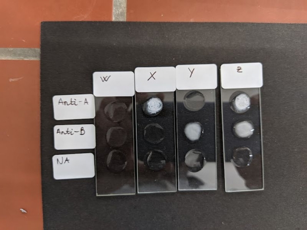 18. IJSO versenyCOM_JOOMGALLERY_UPLOAD_IMAGENAME_SEPARATOR11