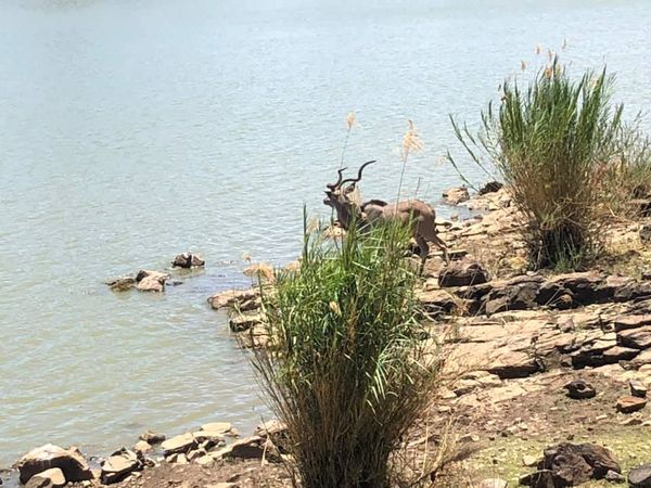 Kirándulás a tanároknak_1