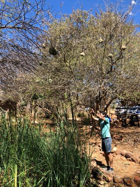 Kirándulás a tanároknak_3