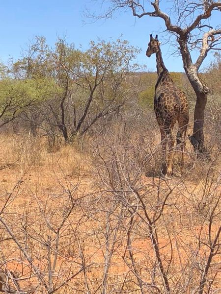 Kirándulás a tanároknak_4