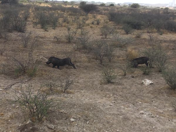 Kirándulás a tanároknak_5