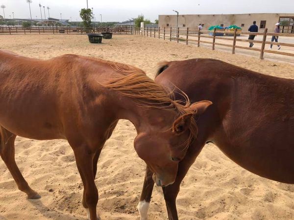 Tanári kirándulásCOM_JOOMGALLERY_UPLOAD_IMAGENAME_SEPARATOR3