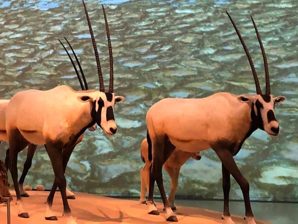 Tanári kirándulásCOM_JOOMGALLERY_UPLOAD_IMAGENAME_SEPARATOR4