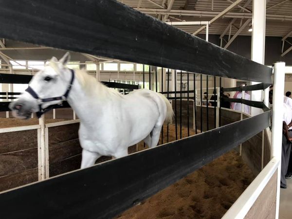 Tanári kirándulásCOM_JOOMGALLERY_UPLOAD_IMAGENAME_SEPARATOR8