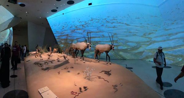 Tanári kirándulásCOM_JOOMGALLERY_UPLOAD_IMAGENAME_SEPARATOR13